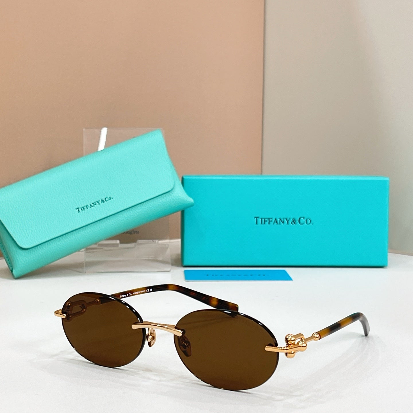 Tiffany & Co. TF3104D Sunglasses