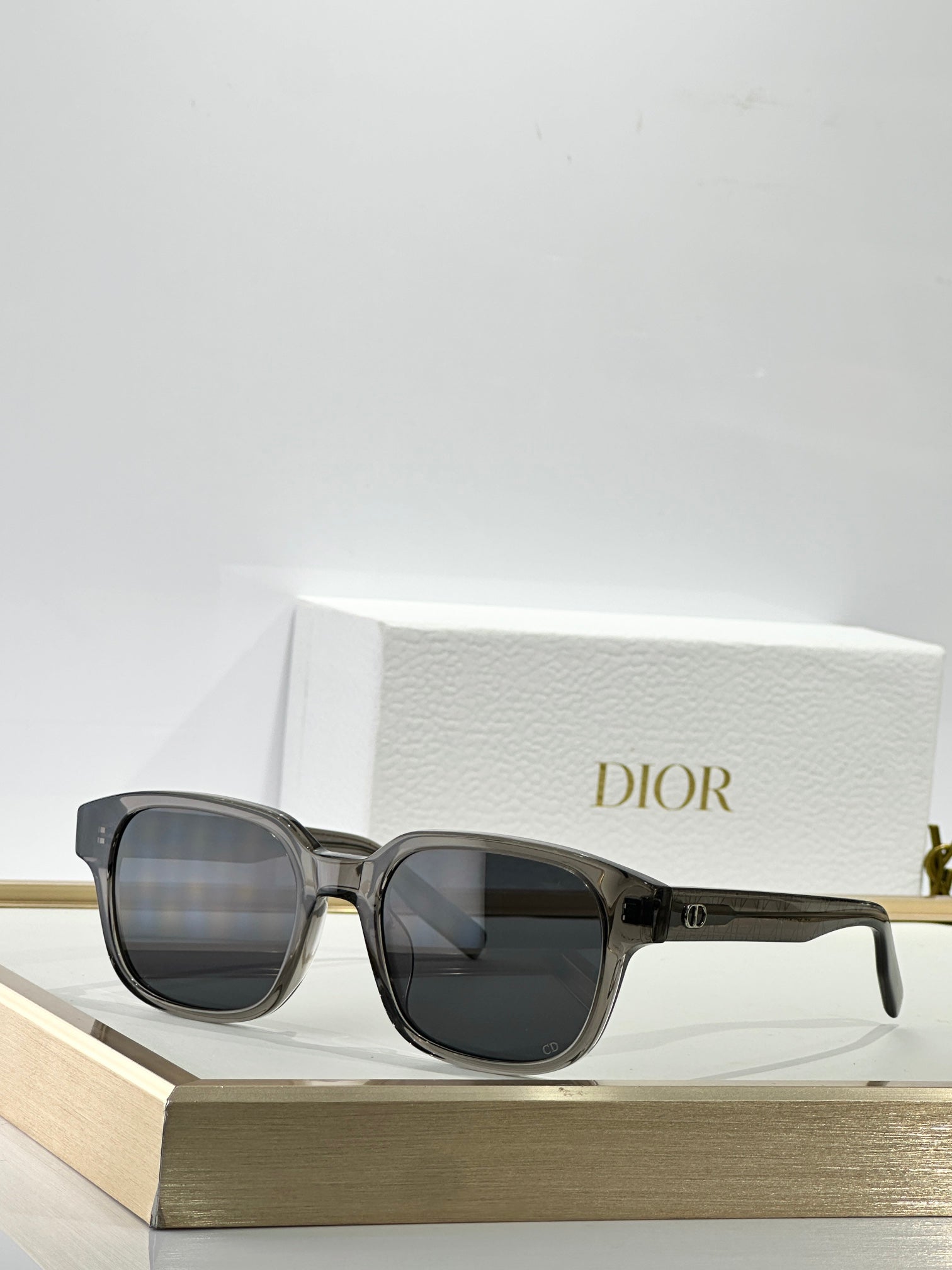 Dior CD Icon S4F Sunglasses
